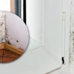 Czarna pleśń zniknie w kilka minut: istnieje proste rozwiązanie dla