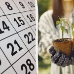 Dokładny kalendarz księżycowy do siewu w marcu 2026 r.: co