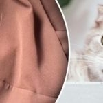 Nie potrzebujesz wałka: Jak usunąć wełnę z ubrań i mebli?