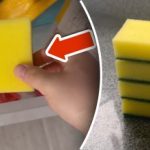 Po co wkładać gąbkę do zamrażarki: prosta sztuczka eliminuje ogromny